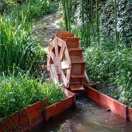 Moulin A Eau Du 17-19e Siecle Au Coeur Du Sud-aveyron Ayssenes-la-Bacaresse